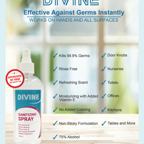Divine Spray 200ml DIVINE Spray Hand Sanitizer 200ml (50pcs)