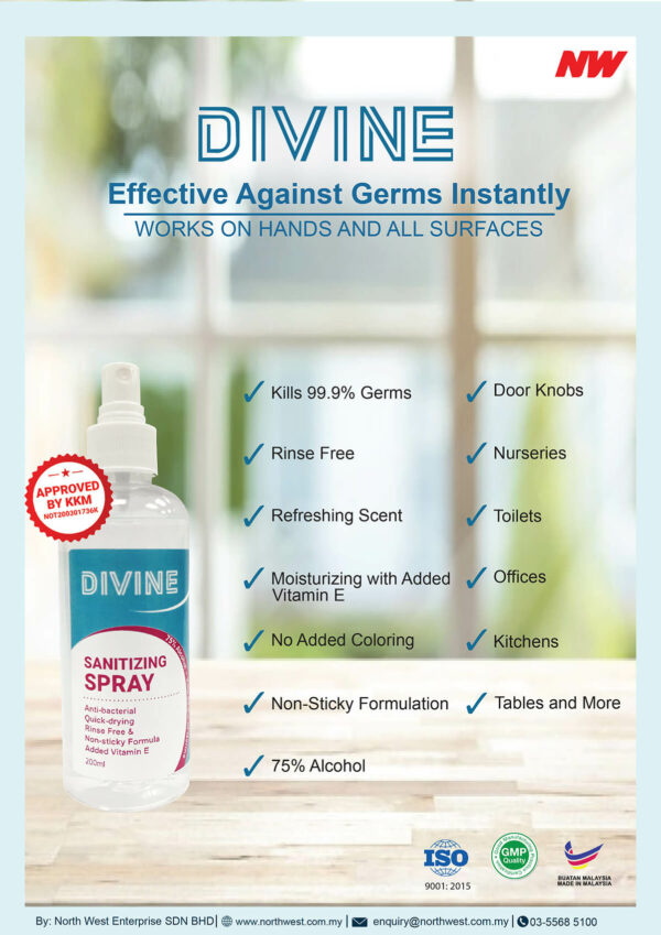 Divine Spray 200ml DIVINE Spray Hand Sanitizer 200ml (50pcs)