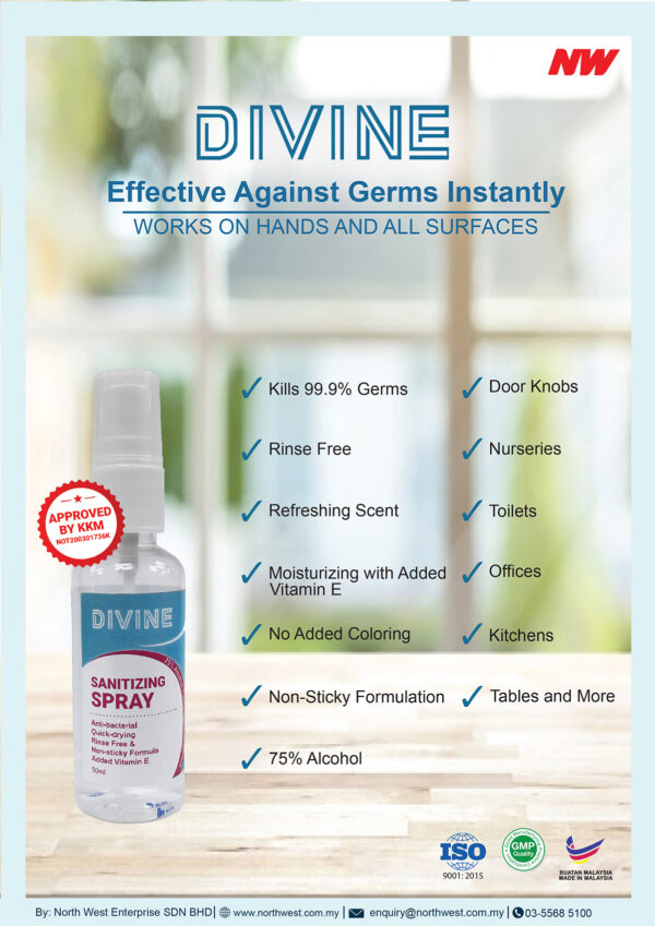 Divine Spray 50ml DIVINE Spray Hand Sanitizer 50ml (500pcs)